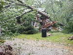 Storm damage fallen trees